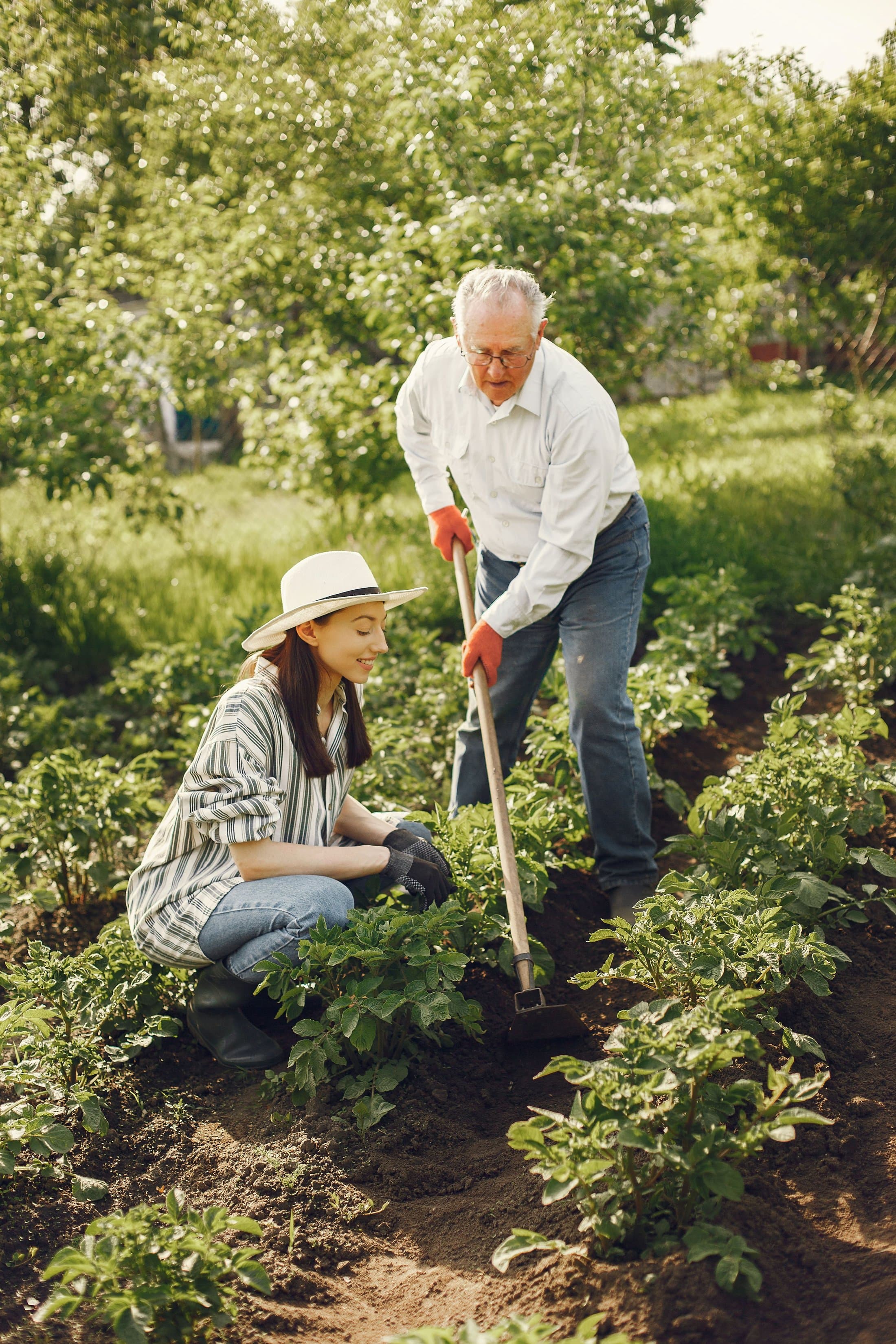 A caregiver and an older man gardening together outside his home.